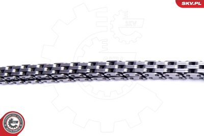 Timing Chain Kit 21SKV235