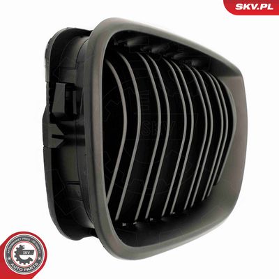 GRILA RADIATOR ESEN SKV 66SKV083 5