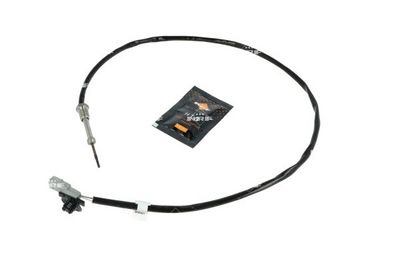 Jutiklis, išmetamųjų dujų temperatūra