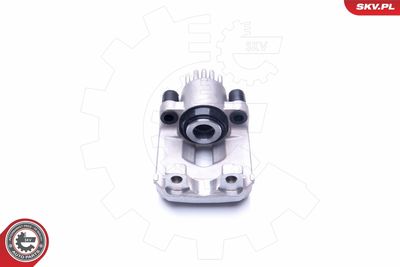 Brake Caliper 44SKV664