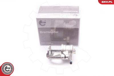 Brake Caliper 23SKV624