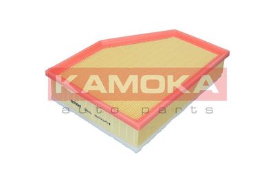 Air Filter F255701