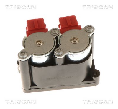 COMPRESOR INSTALATIE AER COMPRIMAT TRISCAN 872511203 3