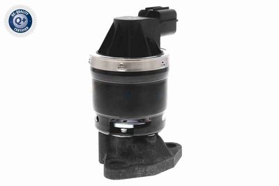 SUPAPA EGR ACKOJA A26630002 10