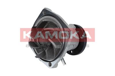 Water Pump, engine cooling T0011