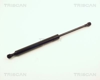 газов амортисьор, капак на двигателя TRISCAN 8710 11105