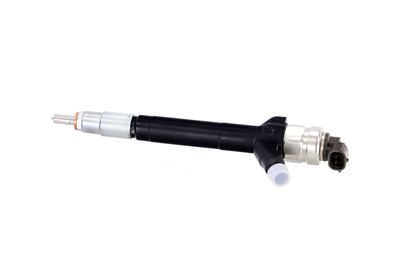 INJECTOR REMANTE 002003000086R 14