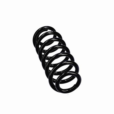 ARC SPIRAL EIBACH R22928 12