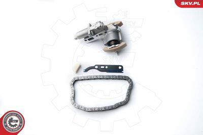 Timing Chain Kit 21SKV030