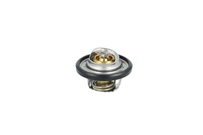 TERMOSTAT LICHID RACIRE NRF 725544 3