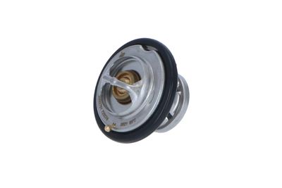 TERMOSTAT LICHID RACIRE NRF 725074 12
