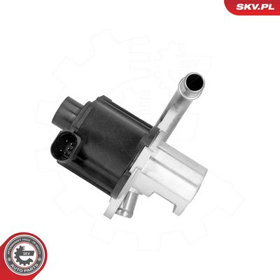 AGR-Ventil ESEN SKV 14SKV316