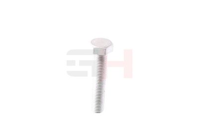 SURUB CAPAT DE AX GH GH392506 6