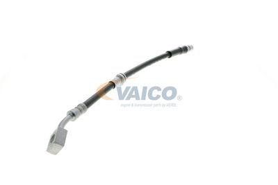 FURTUN FRANA VAICO V404110 56