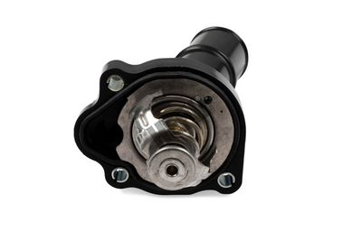 TERMOSTAT LICHID RACIRE HEPU TM1117 1