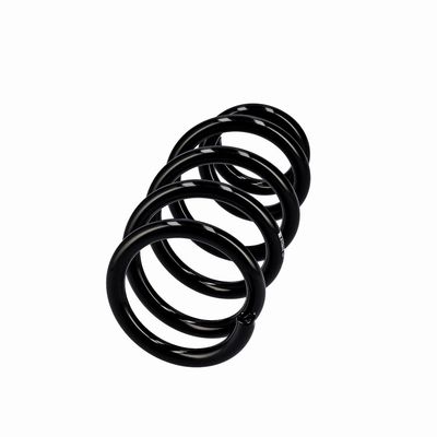 ARC SPIRAL EIBACH R10603 2
