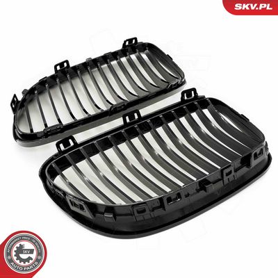 GRILA RADIATOR ESEN SKV 66SKV112 4