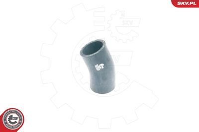 FURTUN EAR SUPRAALIMENTARE