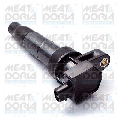 Ignition Coil 10618