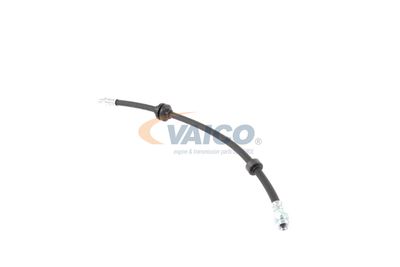 FURTUN FRANA VAICO V240328 8