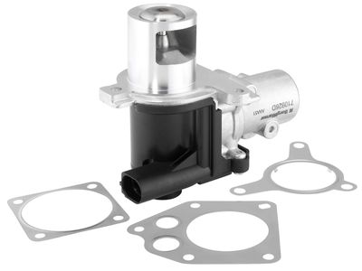 AGR-VENTIL BorgWarner 710928D 1