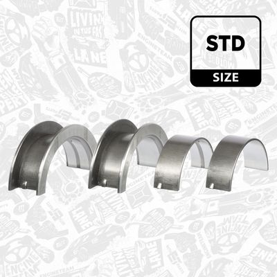 SET RULEMT ARBORE COTIT ET ENGINETEAM LH008000 1