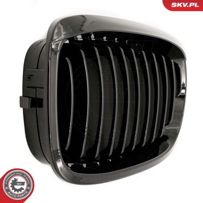 GRILA RADIATOR ESEN SKV 66SKV068 6