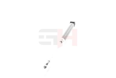 AMORTIZOR GH GH333993 15