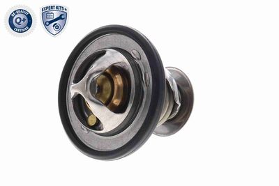 TERMOSTAT LICHID RACIRE ACKOJA A70990031 5