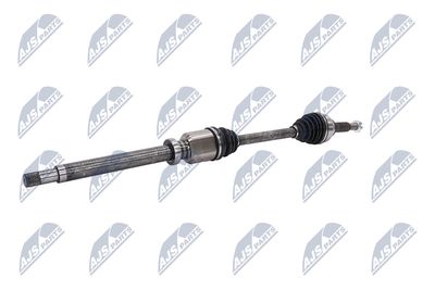 PLANETARA NTY NPWFR074 3