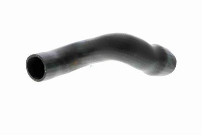 FURTUN EAR SUPRAALIMENTARE VAICO V103828 1
