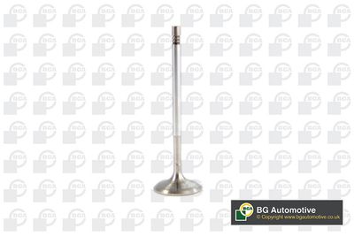 SUPAPA ADMISIE BGA V561127