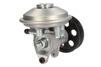 Vacuum Pump, braking system ENT400036