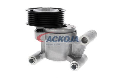 INTINZATOR CUREA CUREA DISTRIBUTIE ACKOJA A320602 15