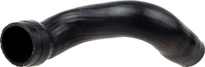 FURTUN EAR SUPRAALIMENTARE