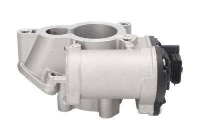 EGR Valve ENT500126