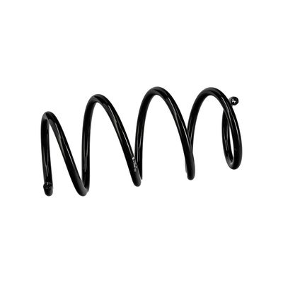 ARC SPIRAL EIBACH R14668 6