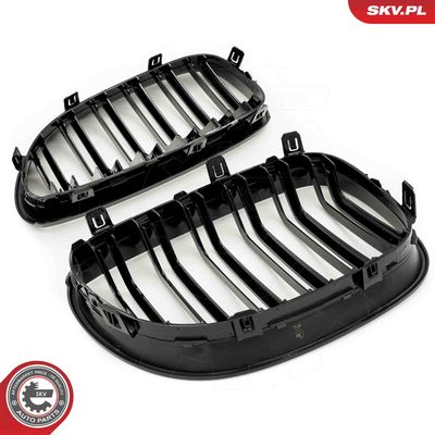 GRILA RADIATOR ESEN SKV 66SKV171 3