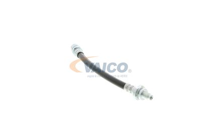 FURTUN FRANA VAICO V404107 43