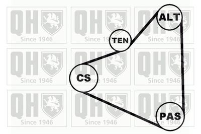 SET CUREA TRANSMISIE CU CANELURI QUINTON HAZELL QDK34 3
