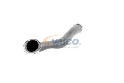 LADELUFTSCHLAUCH VAICO V103817 51