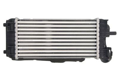 INTERCOOLER COMPRESOR THERMOTEC DAG024TT 1