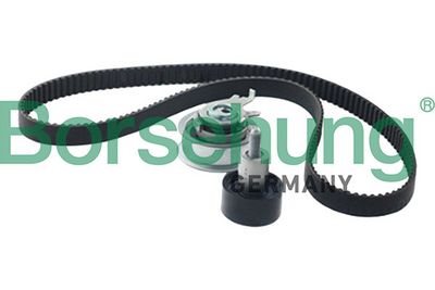 SET CUREA DE DISTRIBUTIE Borsehung B13464