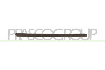 покривна/защитна лайсна, врата PRASCO VG0201453