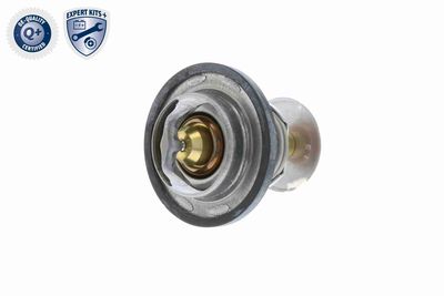 TERMOSTAT LICHID RACIRE VEMO V22990011 6
