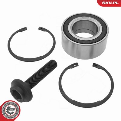 SET RULMENT ROATA ESEN SKV 85SKV018 1