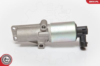 EGR Valve 14SKV065