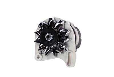 GENERATOR / ALTERNATOR REMANTE 011003000277R 61