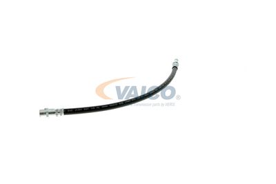 FURTUN FRANA VAICO V309931 29