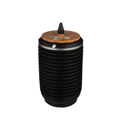 LUFTFEDER FAHRWERK Arnott A3892 29